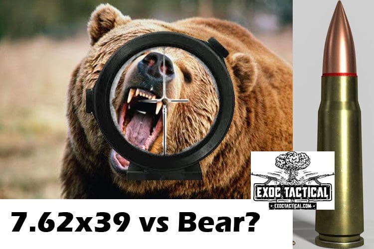Can 7.62×39 Stop a Bear?  AK vs Grizzly!